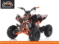 - - - nitro motors nitro motors Kinderquad 125cc 4takt - ATV - 1
