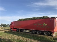 ACJ Greenloader overlæssevogne til majs, græs, roer, kartofler m.m. - Vogne - Overlæssevogne - 15