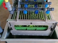 - - - Salatwaschmaschine - Grøntsagsmaskiner - Plantemaskine - 8