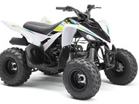 Yamaha YFM90R - ATV - 2
