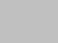 Lely Hibiscus 1525 - Halmhåndtering - River og vendere - 1