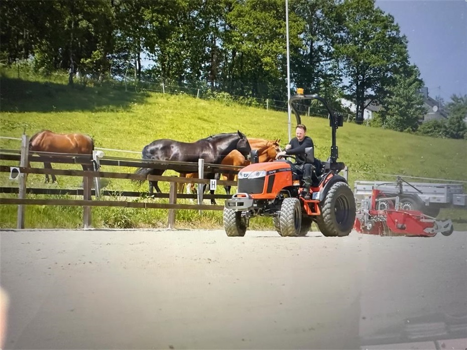 Tafe 6028 Med Frontlæsser - Traktorer - Kompakt traktorer - 15