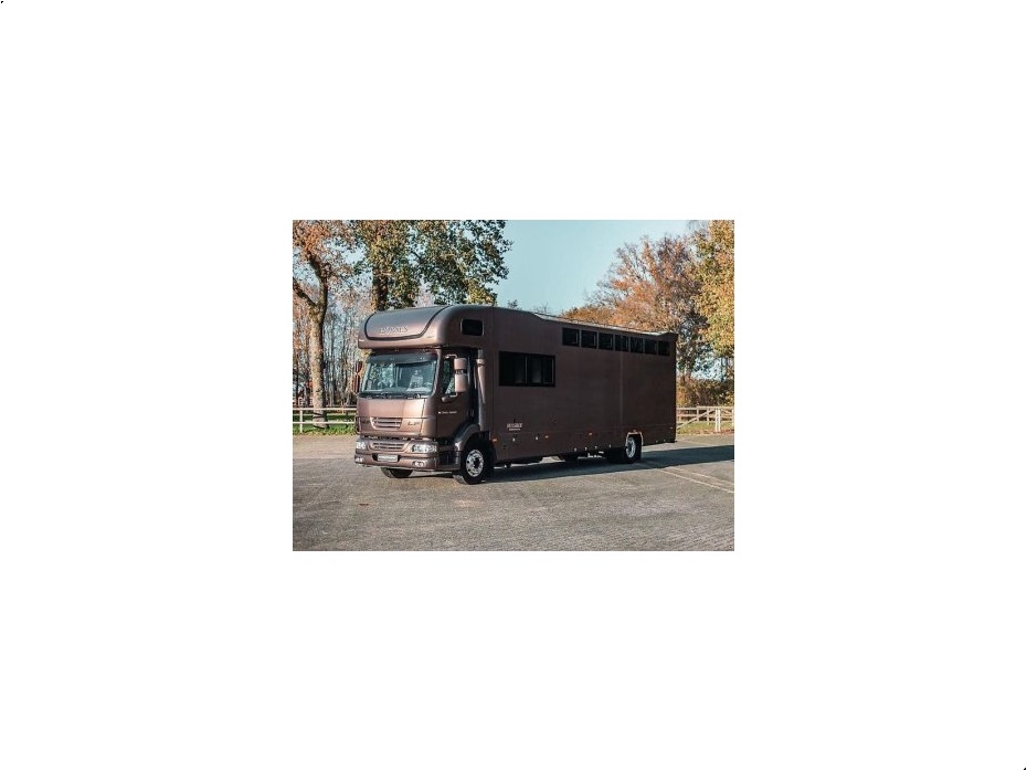 - - - LF55 Pferdetransporter 6/5-Pferde Alukoffer - Lastbiler - Trækkere - 1