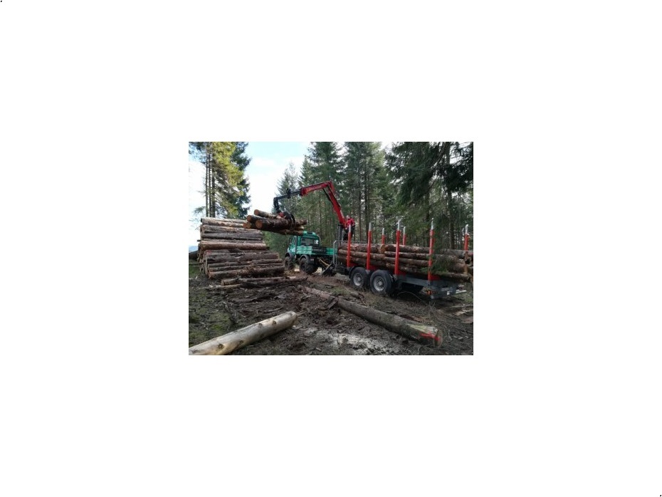 - - - Holztransportanhänger - Skovmaskiner - 7