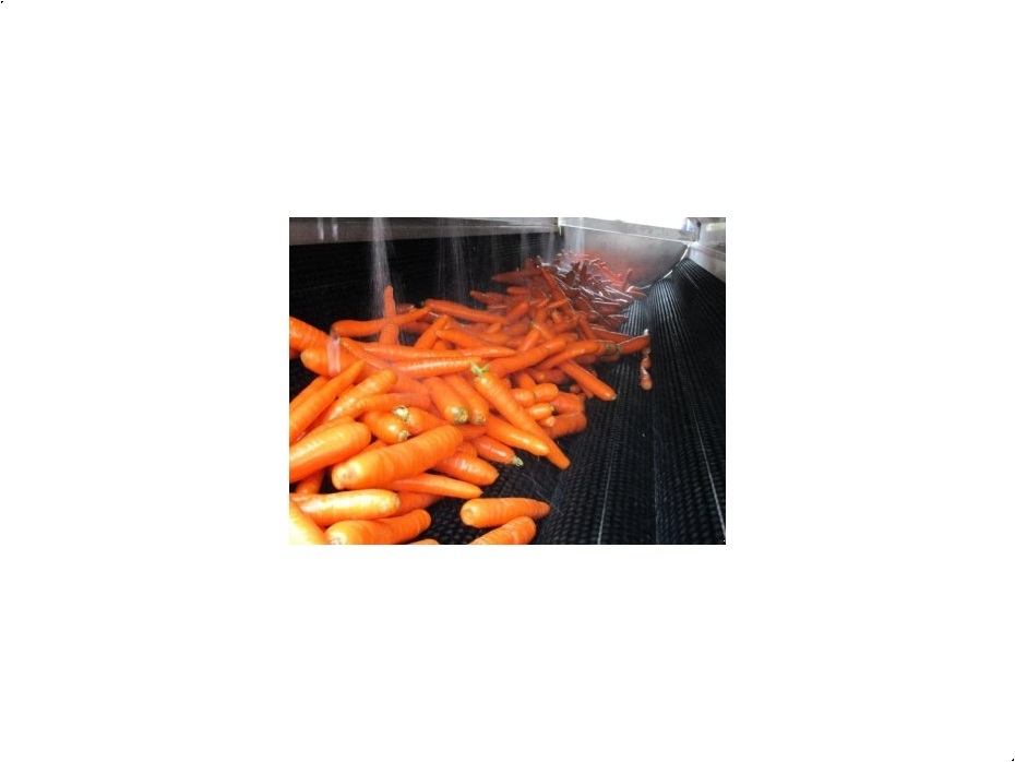 - - - Karottenpoliermaschine - Grøntsagsmaskiner - Vaskemaskine - 2